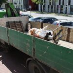 04.06.2020. Kielce. Montaż pomnika Jana Kochanowskiego przed budynkiem rektoratu UJK / Piotr Burda / UJK Kielce