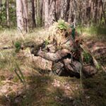 Końskie. Pierwsze po przerwie manewry Jednostki Strzeleckiej 2026 / Jednostka Strzelecka 2026