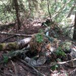 Końskie. Pierwsze po przerwie manewry Jednostki Strzeleckiej 2026 / Jednostka Strzelecka 2026