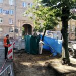 30.06.2020 Kielce. Akcja ratowania dwóch lip w centrum miasta / RPZiUK w Kielcach