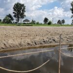 30.06.2020. Wiślica. Przystań kajakowa na Nidzie / Marta Gajda / Radio Kielce