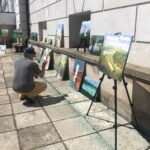 06.06.2020. Sandomierz. Wystawa plenerowa prac malarskich na dziedzińcu Zamku Królewskiego / Picasa / Radio Kielce