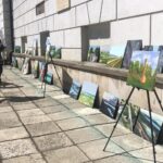 06.06.2020. Sandomierz. Wystawa plenerowa prac malarskich na dziedzińcu Zamku Królewskiego / Picasa / Radio Kielce