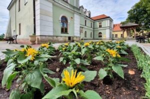 07.06.2020 Sandomierz. Kwiaty na starówce / Grażyna Szlęzak-Wójcik / Radio Kielce