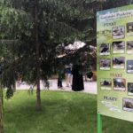 20.06.2020. Sandomierz. Otwarcie tężni / Grażyna Szlęzak-Wójcik / Radio Kielce