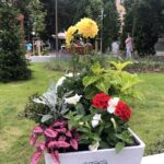 20.06.2020. Sandomierz. Otwarcie tężni / Grażyna Szlęzak-Wójcik / Radio Kielce