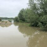 24.06.2020. Zawichost. Poziom Wisły zbliża się do stanu alarmowego / Grażyna-Szlęzak-Wójcik / Radio Kielce