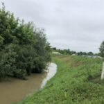 24.06.2020. Zawichost. Poziom Wisły zbliża się do stanu alarmowego / Grażyna-Szlęzak-Wójcik / Radio Kielce