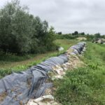 24.06.2020. Zawichost. Poziom Wisły zbliża się do stanu alarmowego / Grażyna-Szlęzak-Wójcik / Radio Kielce