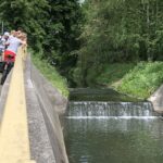 07.06.2020 Kielce. Bóbr pływał w Silnicy / Marcin Przemirski / Radio Kielce