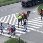 25.06.2020. Kielce. Wielbłąd spacerował po mieście / archiwum prywatne