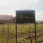 12.06.2020. Sandomierz. Dzień otwartych winnic / Grażyna Szlęzak-Wójcik / Radio Kielce