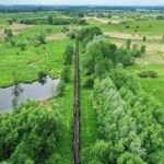 08.06.2020 Umianowice. Kolejka wąskotorowa. Tor. Starorzecze Nidy / Jarosław Kubalski / Radio Kielce