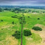 08.06.2020 Umianowice. Kolejka wąskotorowa. Tory / Jarosław Kubalski / Radio Kielce