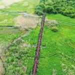 08.06.2020 Umianowice. Kolejka wąskotorowa. Tory / Jarosław Kubalski / Radio Kielce