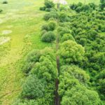 08.06.2020 Umianowice. Kolejka wąskotorowa. Tory / Jarosław Kubalski / Radio Kielce