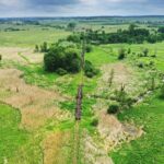 08.06.2020 Umianowice. Kolejka wąskotorowa. Tory / Jarosław Kubalski / Radio Kielce