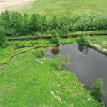 08.06.2020 Umianowice. Kolejka wąskotorowa. Tor. Starorzecze Nidy / Jarosław Kubalski / Radio Kielce