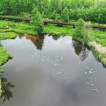 08.06.2020 Umianowice. Kolejka wąskotorowa. Tor. Starorzecze Nidy / Jarosław Kubalski / Radio Kielce