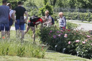 11.06.2020 Kielce. Ogród botaniczny. Spacer / Jarosław Kubalski / Radio Kielce