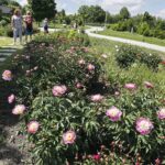 11.06.2020 Kielce. Ogród botaniczny. Spacer / Jarosław Kubalski / Radio Kielce