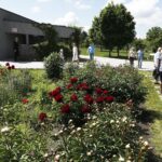 11.06.2020 Kielce. Ogród botaniczny. Spacer / Jarosław Kubalski / Radio Kielce