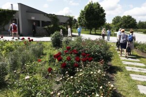 11.06.2020 Kielce. Ogród botaniczny. Spacer / Jarosław Kubalski / Radio Kielce