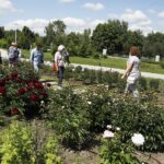 11.06.2020 Kielce. Ogród botaniczny. Spacer / Jarosław Kubalski / Radio Kielce