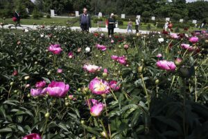 11.06.2020 Kielce. Ogród botaniczny. Spacer / Jarosław Kubalski / Radio Kielce