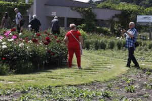 11.06.2020 Kielce. Ogród botaniczny. Spacer / Jarosław Kubalski / Radio Kielce