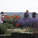 11.06.2020 Kielce. Ogród botaniczny. Spacer / Jarosław Kubalski / Radio Kielce