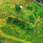 27.06.2020 Kielce. Dolina Silnicy. Wykoszona trawa / Jarosław Kubalski / Radio Kielce