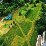 27.06.2020 Kielce. Dolina Silnicy. Wykoszona trawa / Jarosław Kubalski / Radio Kielce