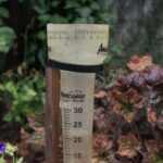 22.06.2020 Porąbki. Deszczomierz / Krzysztof Bujnowicz / Radio Kielce