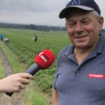 22.06.2020 Porąbki. Truskawki. Na zdjęciu Andrzej Bozowski, prezes Stowarzyszenia Producentów Truskawki Bielińskiej / Krzysztof Bujnowicz / Radio Kielce