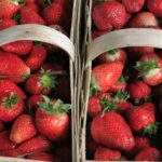 22.06.2020 Porąbki. Truskawki / Krzysztof Bujnowicz / Radio Kielce