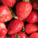 22.06.2020 Porąbki. Truskawki / Krzysztof Bujnowicz / Radio Kielce