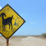 Kolumbia / Ewa Kulak-Carvajal, Kinga Puerto Grzeszczuk i Mario Carvajal