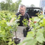 17.06.2020. Kielce. Geopark. Sadzenie winorośli przez sandomierskich winiarzy / Wiktor Taszłow / Radio Kielce