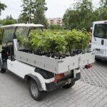 17.06.2020. Kielce. Geopark. Sadzenie winorośli przez sandomierskich winiarzy / Wiktor Taszłow / Radio Kielce