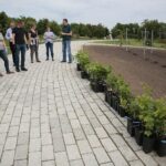 17.06.2020. Kielce. Geopark. Sadzenie winorośli przez sandomierskich winiarzy / Wiktor Taszłow / Radio Kielce