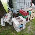 20.06.2020. Bieliny. Zbieranie truskawek / Wiktor Taszłow / Radio Kielce