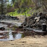 20.05.2020. Nowiny. Składowisko odpadów / Wiktor Taszłow / Radio Kielce