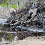 20.05.2020. Nowiny. Składowisko odpadów / Wiktor Taszłow / Radio Kielce