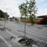 25.06.2020. Kielce. Prace wykończeniowe przy budowie dworca autobusowego / Wiktor Taszłow / Radio Kielce