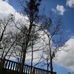 20.05.2020. Nowiny. Składowisko odpadów / Wiktor Taszłow / Radio Kielce