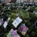 06.06.2020. Kielce. Kiermasz letni w Targach Kielce / Wiktor Taszłow / Radio Kielce