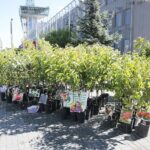 06.06.2020. Kielce. Kiermasz letni w Targach Kielce / Wiktor Taszłow / Radio Kielce