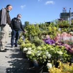 06.06.2020. Kielce. Kiermasz letni w Targach Kielce / Wiktor Taszłow / Radio Kielce