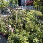 06.06.2020. Kielce. Kiermasz letni w Targach Kielce / Wiktor Taszłow / Radio Kielce